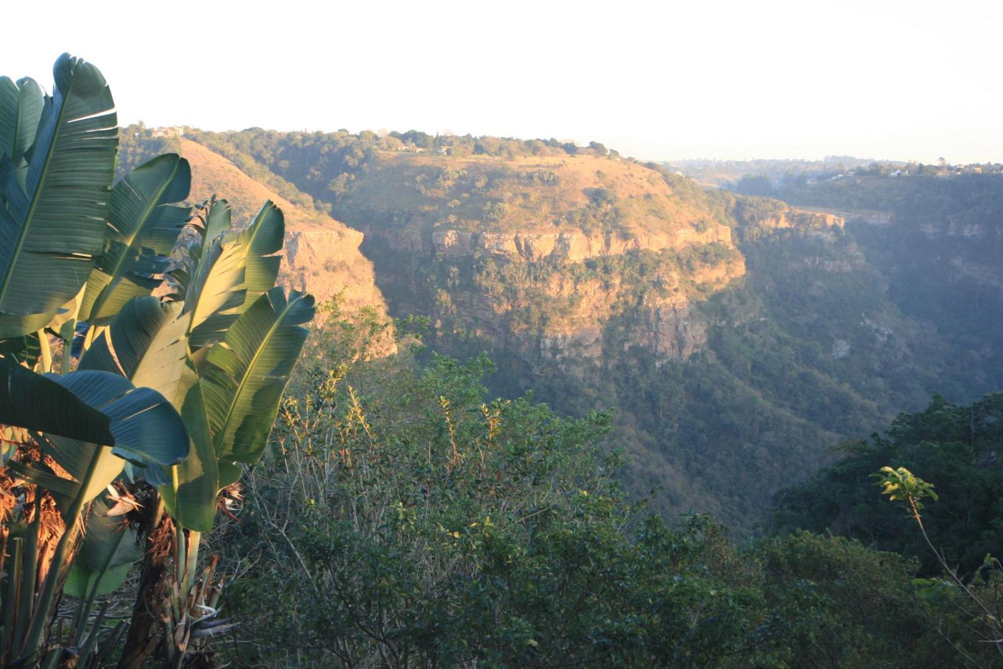 Ammazulu African Palace Kloof Ngoại thất bức ảnh