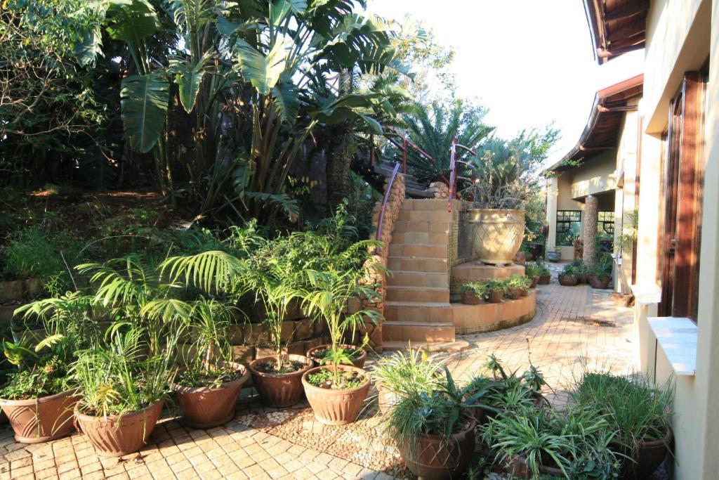 Ammazulu African Palace Kloof Phòng bức ảnh